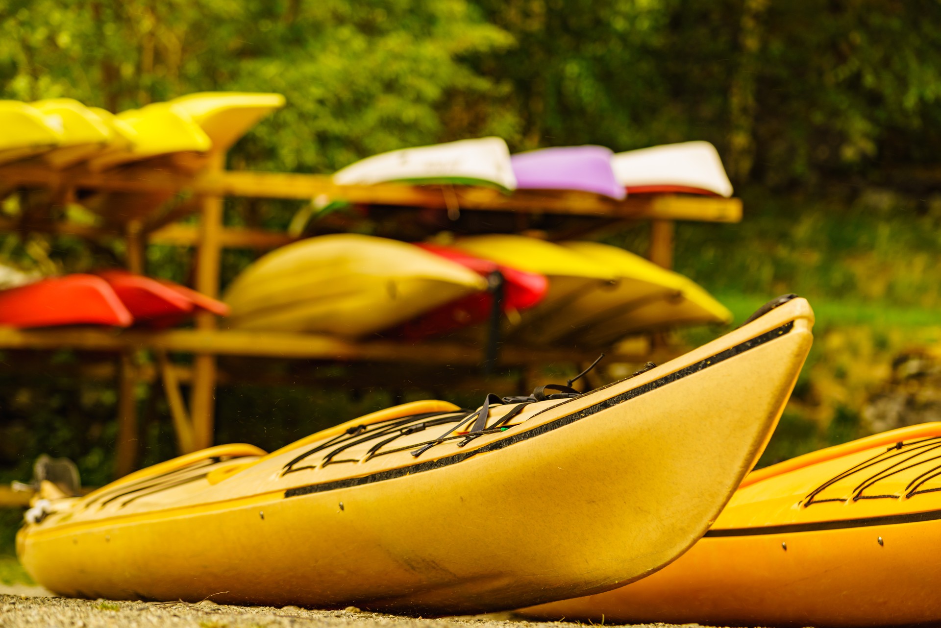 Kayaks on water shore. Rental area